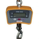 Digiweigh Crane Scale DWP-500C2X  500lbs x 0.2lb